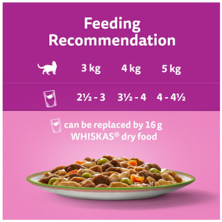  Whiskas 1+ Tasty Mix Chef's Choice In Gravy 40 X 85g